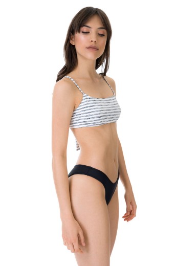 Imagen de Springfield